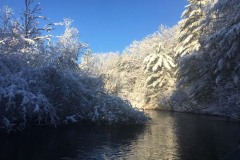 IMG_4497