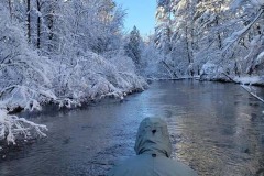 IMG_4507